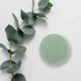 Invigorate ~ Eucalyptus & Mint Aromatherapy Shower Steamer